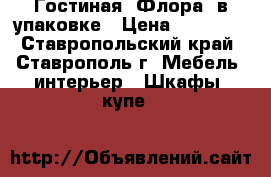 Гостиная “Флора“ в упаковке › Цена ­ 12 000 - Ставропольский край, Ставрополь г. Мебель, интерьер » Шкафы, купе   